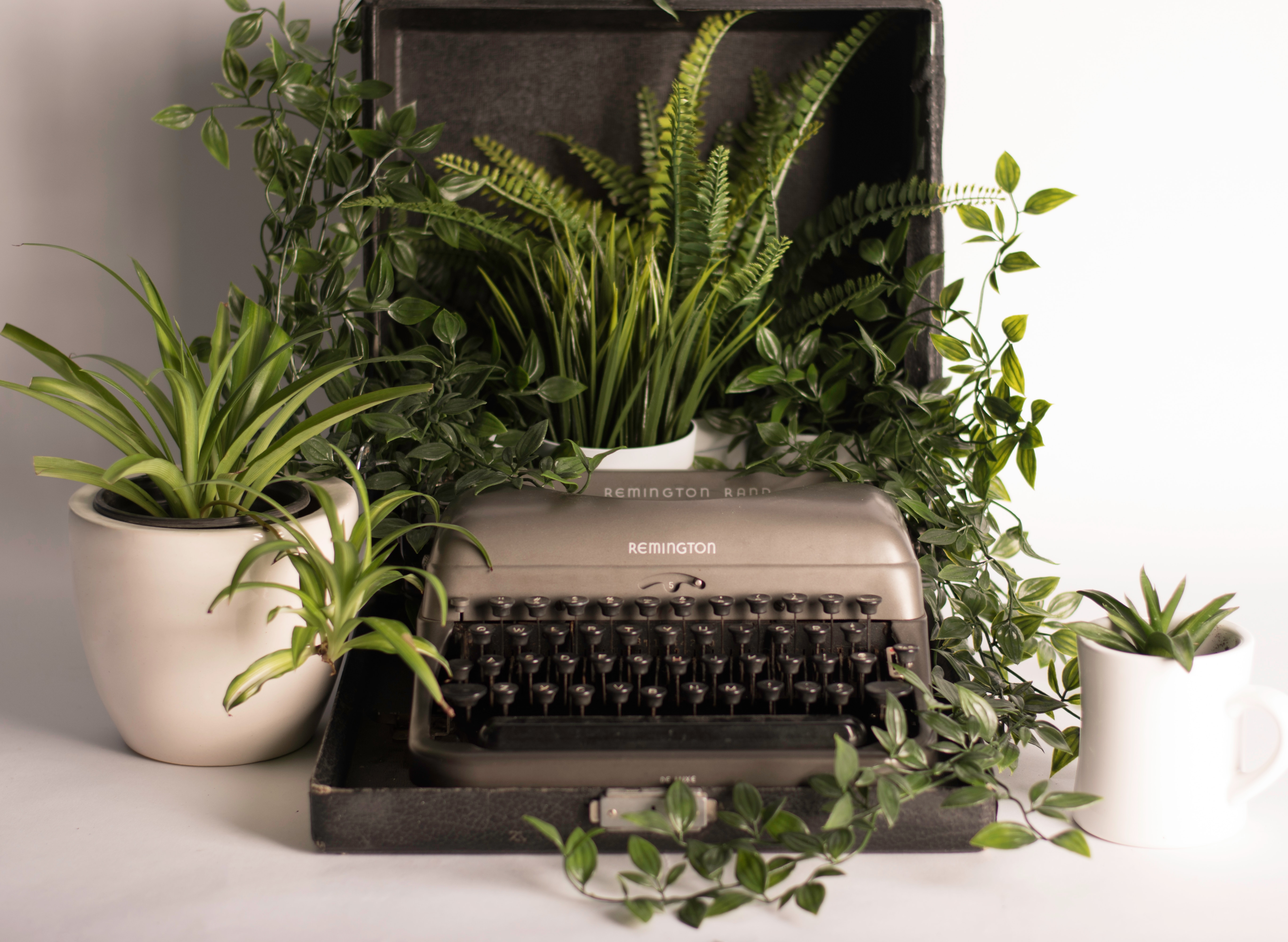 Simple grey typewriter with lots of green plants.